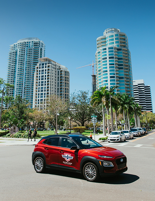 Excelsior Defense Team